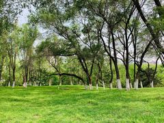 -长白岛森林公园