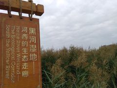 -孙记炒炮(西街店)