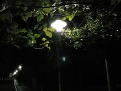 -山东师范大学(千佛山校区)