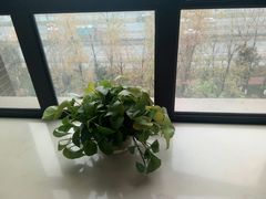 -凯里亚德酒店(成都东站店)