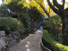 -汇龙潭