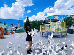 -鄂尔多斯野生动物园