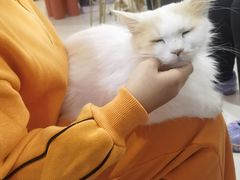 -平行世界·猫咖(首经贸店)