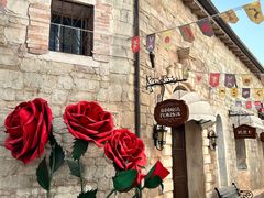 -华谊兄弟（长沙）电影小镇