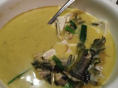 黄刺鱼炖豆腐-丰乐餐厅·始于1999·本地老字号