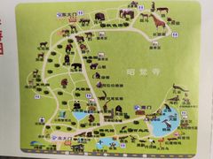 -成都动物园