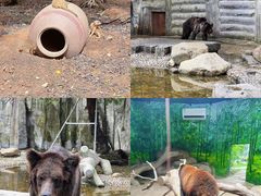 -灵玲国际马戏城