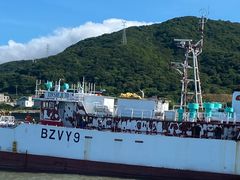 -桃花岛风景旅游区