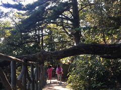-罗田薄刀峰风景区
