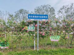 -武汉紫薇都市田园