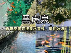 -老济南·地道济南菜(大明湖店)