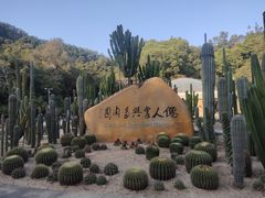 -深圳仙湖植物园