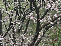 -苏州上方山国家森林公园