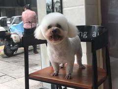 -芭比堂爱心动物医院(柯桥康爱分院)