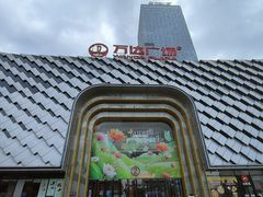 -万达广场(龙湖店)