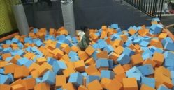 -蹦贝运动中心·蹦床·攀岩·闯关(龙岗店)