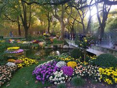 -上海共青森林公园