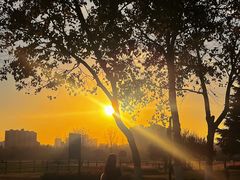 -汉长安城未央宫国家考古遗址公园