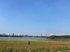 -海珠湖公园
