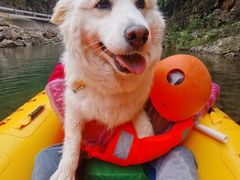 -安吉龙王山峡谷漂流