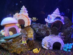 -海合安武汉极地海洋公园