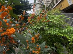 -镇江龙·火锅串串(武侯祠店)