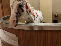 -海底捞火锅(飞马水城店)
