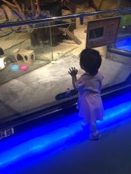 -未来动物城动物主题公园(大悦城店)