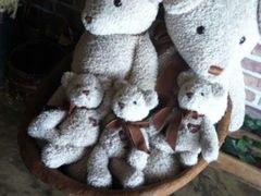 android_upload_pic-济州岛泰迪熊博物馆