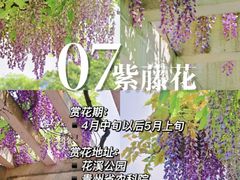 -阿哈湖国家湿地公园