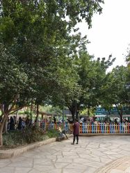 -福州儿童公园