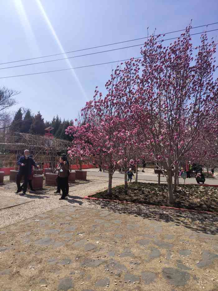 秦皇植物园-"位置:海政里对面,紧挨着汤河环境:园内."-大众点评移动版