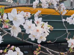 -新天地活力PARK