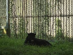 -上方山森林动物世界