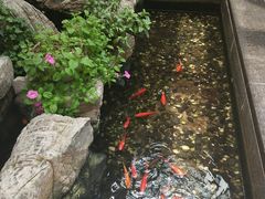 -苏州独墅湖书香世家酒店