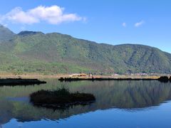 -腾冲北海湿地