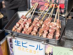 -台场海滨公园船码头