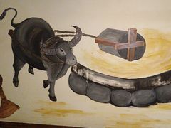 -厨神老街兔·淳朴人家店(盐帮菜风味名店)