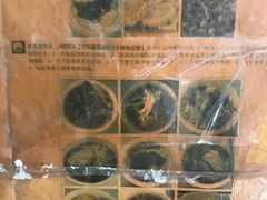 -老太皮肚面