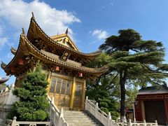 -上海东林寺(金山区)