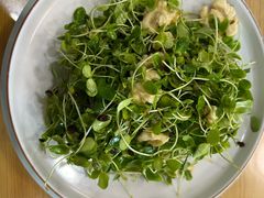 -八次方密云水库鱼粘卷子·熏鸽子·农家菜