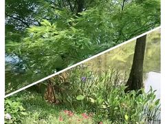 -云溪植物园