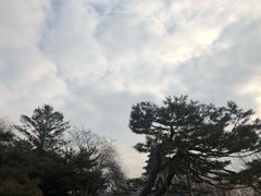 -景福宫