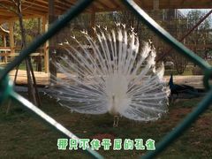 -云南艺术学院(呈贡校区)