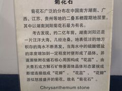 -游龙石文化科普馆