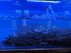 -鼓歌海鲜舫·手抓海鲜(大学城店)