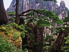 -黄山风景区