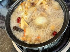 -蘑统田下·野生菌火锅