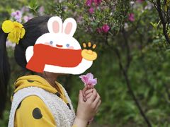 -晓港公园