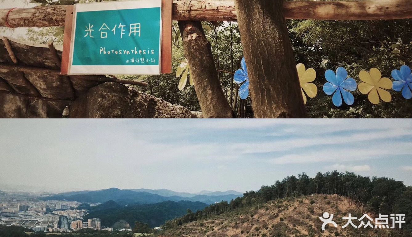 深圳出发丨广州除了小蛮腰还有广州之泪💧